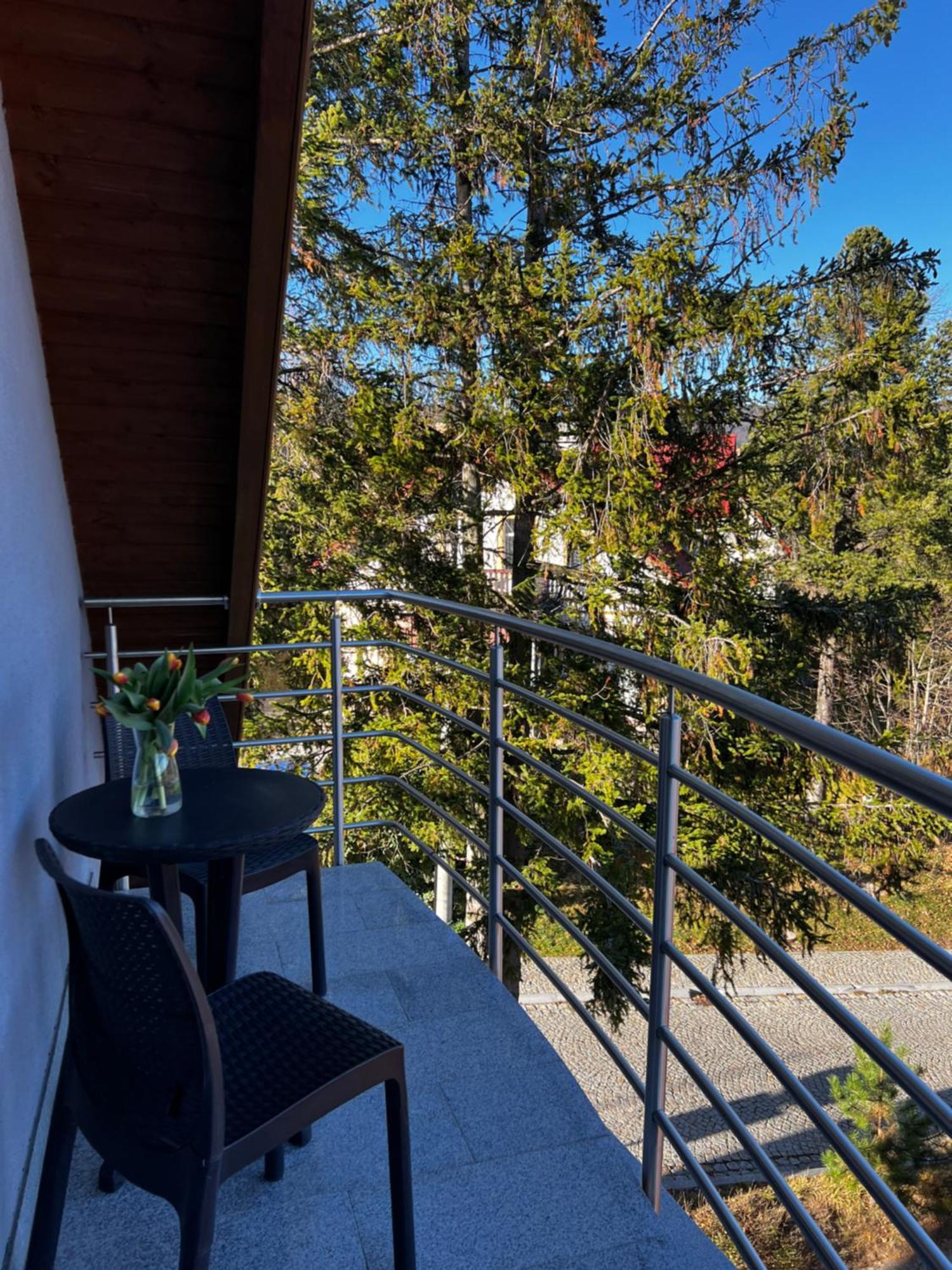Szara Bed and breakfast Szklarska Poręba